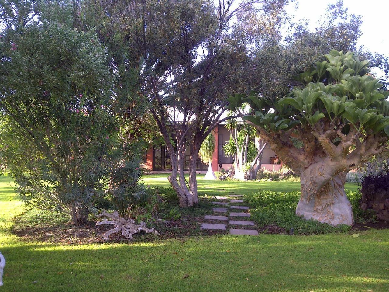 Вилла Buschberg Guest Farm Оучо Экстерьер фото